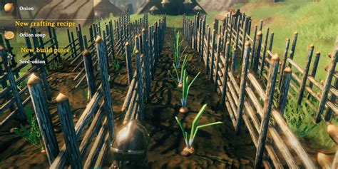 valheim onion|valheim onions planting guide.